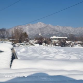 이천산수유님의 자유주제 · 자유게시판 작성글 사진