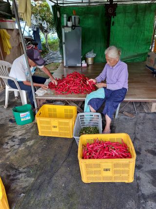 한마음농원님의 팜모닝 · 출석 작성글 사진