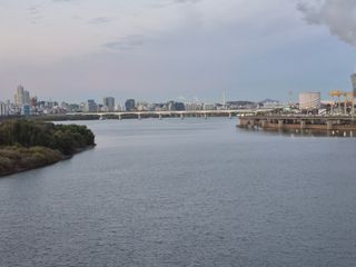 허굴산농장님의 자유주제 · 자유게시판 작성글 사진