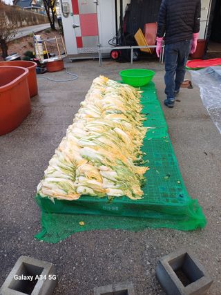 홍순오님의 자유주제 · 자유게시판 작성글 사진