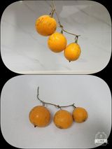 팜모닝 자유주제·자유게시판 게시글 이미지