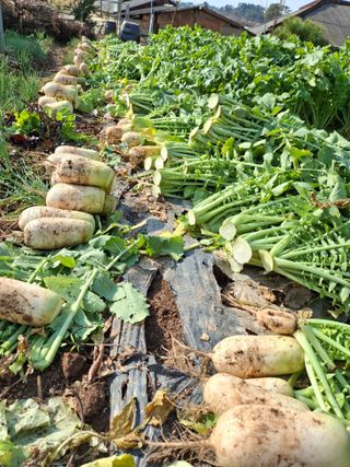 체리123님의 자유주제 · 자유게시판 작성글 사진