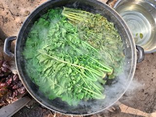 체리123님의 자유주제 · 자유게시판 작성글 사진