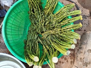 체리123님의 자유주제 · 자유게시판 작성글 사진