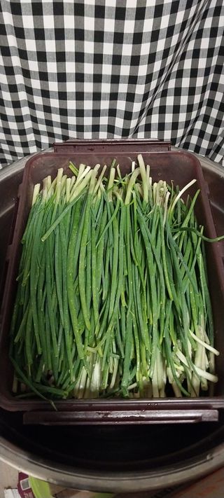 이일철 (조이산골)님의 자유주제 · 자유게시판 작성글 사진