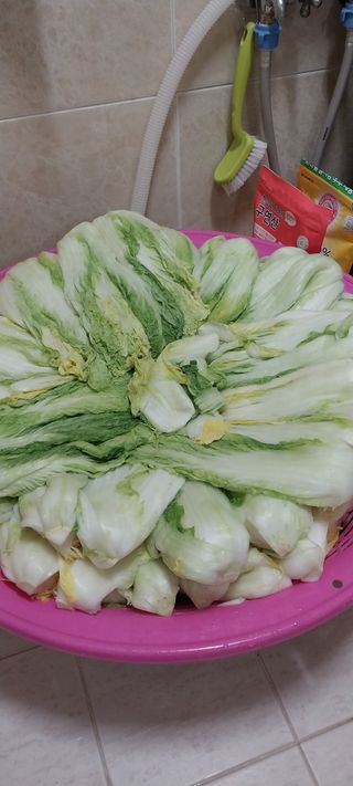 이일철 (조이산골)님의 자유주제 · 자유게시판 작성글 사진