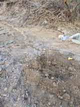 팜모닝 기타작물·영농일지 게시글 이미지