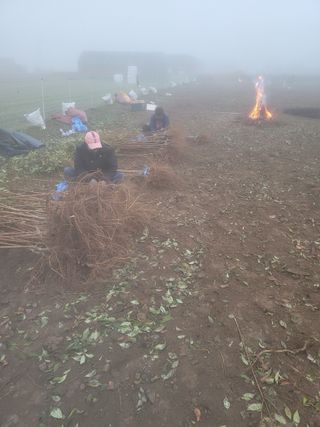 일심묘목농원님의 자유주제 · 자유게시판 작성글 사진