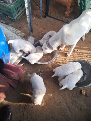 전희분님의 자유주제 · 자유게시판 작성글 사진