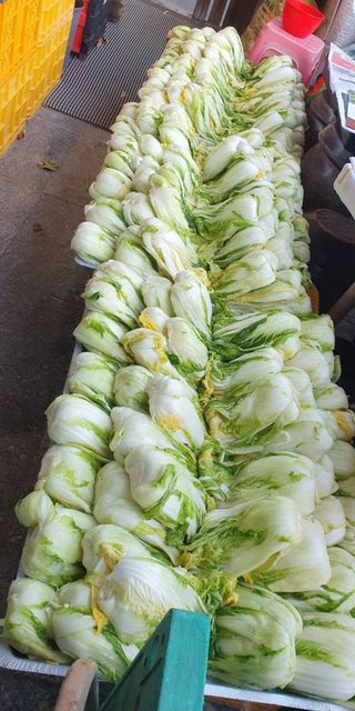 루시아님의 자유주제 · 자유게시판 작성글 사진