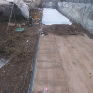 알 수 없음님의 기타작물 · 영농일지 작성글 사진