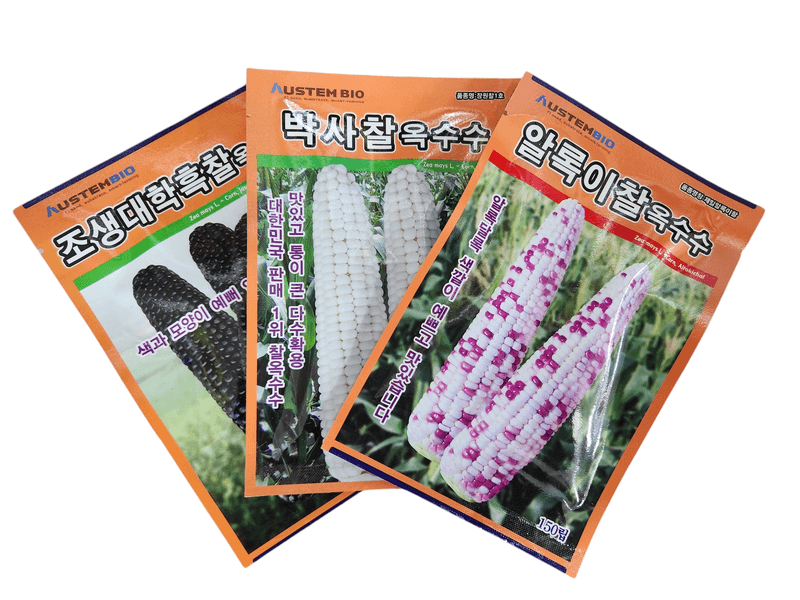 장터 상품 [조생대학흑찰80립 박사찰80립 알록이찰80립200] 썸네일