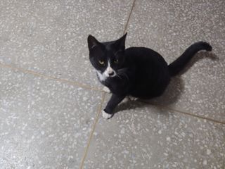 알 수 없음님의 자유주제 · 자유게시판 작성글 사진