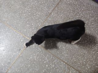 알 수 없음님의 자유주제 · 자유게시판 작성글 사진