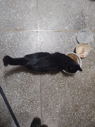 알 수 없음님의 자유주제 · 자유게시판 작성글 사진