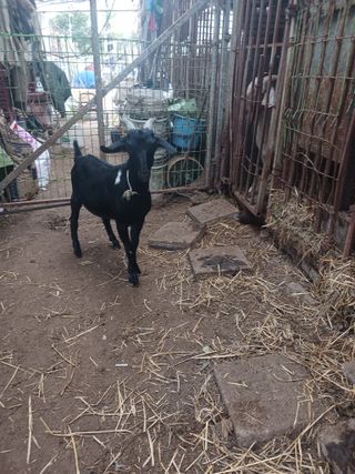 최제영님의 자유주제 · 자유게시판 작성글 사진