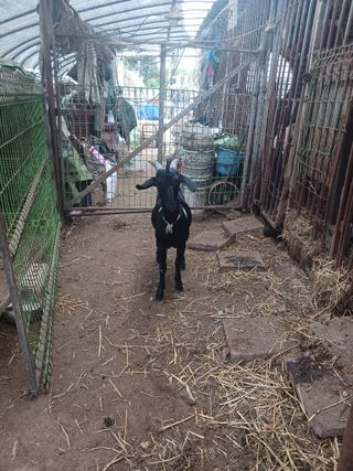 최제영님의 자유주제 · 자유게시판 작성글 사진