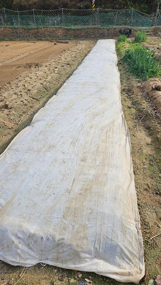 이순정님의 12월 작물 자랑하기 · 참여글 작성글 사진