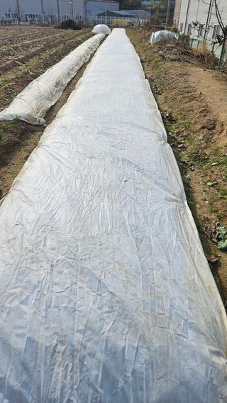 이순정님의 12월 작물 자랑하기 · 참여글 작성글 사진