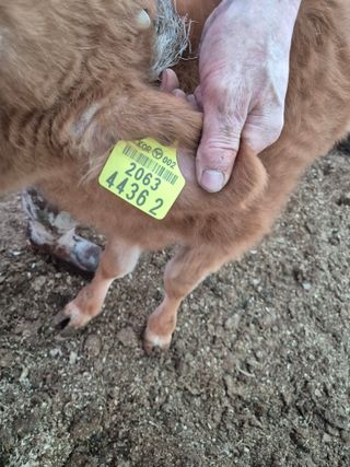 조혜숙님의 12월 작물 자랑하기 · 참여글 작성글 사진