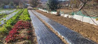 차동근님의 12월 작물 자랑하기 · 참여글 작성글 사진