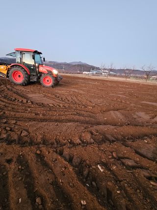 배성은365님의 12월 작물 자랑하기 · 참여글 작성글 사진