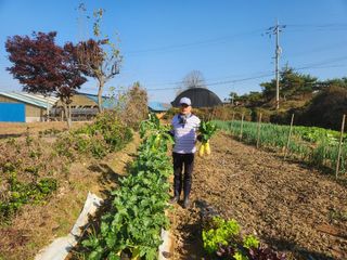 이종구님의 12월 작물 자랑하기 · 참여글 작성글 사진