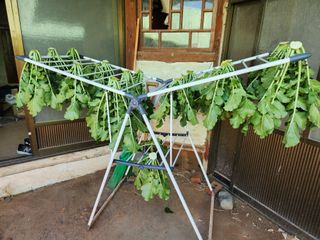 이종구님의 12월 작물 자랑하기 · 참여글 작성글 사진