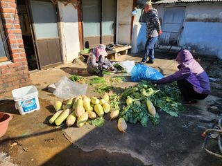 이종구님의 12월 작물 자랑하기 · 참여글 작성글 사진