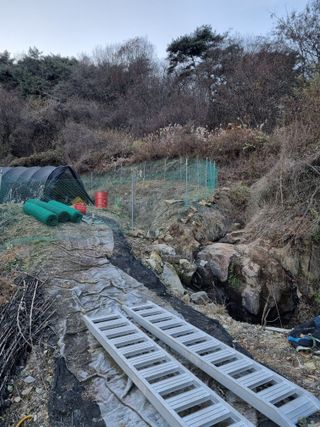 옹사농원강님의 12월 작물 자랑하기 · 참여글 작성글 사진