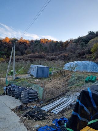 옹사농원강님의 12월 작물 자랑하기 · 참여글 작성글 사진