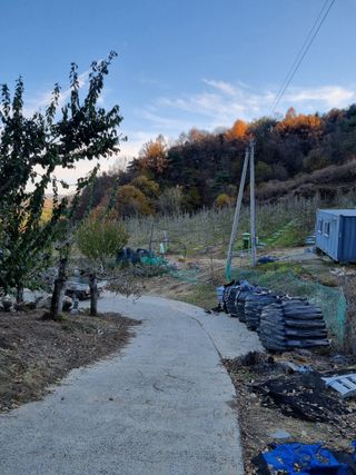 옹사농원강님의 12월 작물 자랑하기 · 참여글 작성글 사진