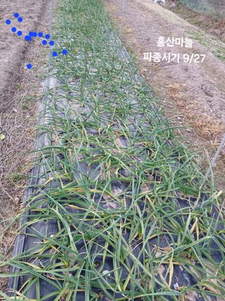 이승규님의 자유주제 · 자유게시판 작성글 사진