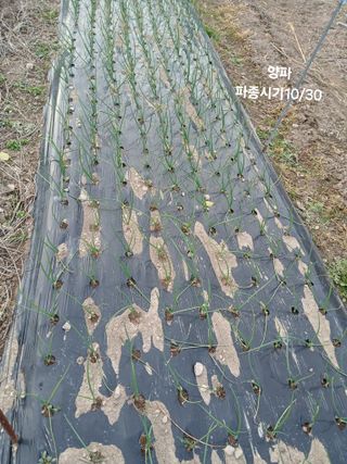 이승규님의 자유주제 · 자유게시판 작성글 사진