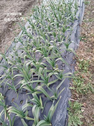 이승규님의 자유주제 · 자유게시판 작성글 사진