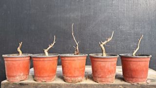 이정운님의 12월 작물 자랑하기 · 참여글 작성글 사진