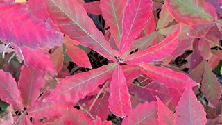 이정운님의 12월 작물 자랑하기 · 참여글 작성글 사진