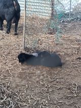 팜모닝 자유주제·자유게시판 게시글 이미지