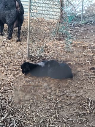 신경여님의 자유주제 · 자유게시판 작성글 사진