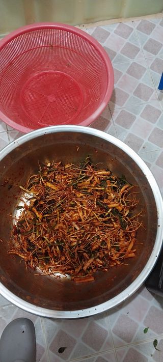 낙엽교목류15665님의 자유주제 · 자유게시판 작성글 사진