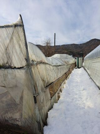 좋은인연원님의 자유주제 · 자유게시판 작성글 사진