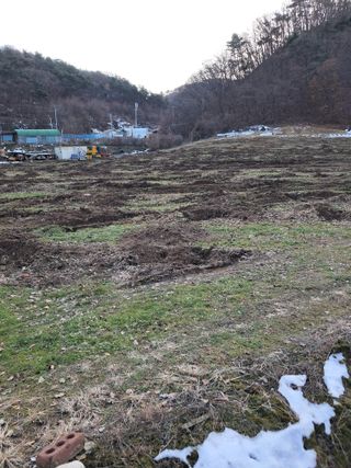 류남열님의 사과 · 영농일지 작성글 사진