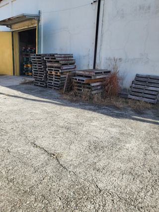 김영진(전남영광)님의 자유주제 · 자유게시판 작성글 사진