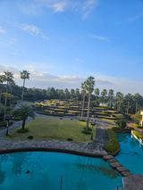 팜모닝 자유주제·자유게시판 게시글 이미지