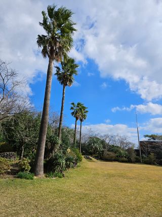 경희아짐님의 자유주제 · 자유게시판 작성글 사진