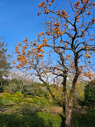 경희아짐님의 자유주제 · 자유게시판 작성글 사진