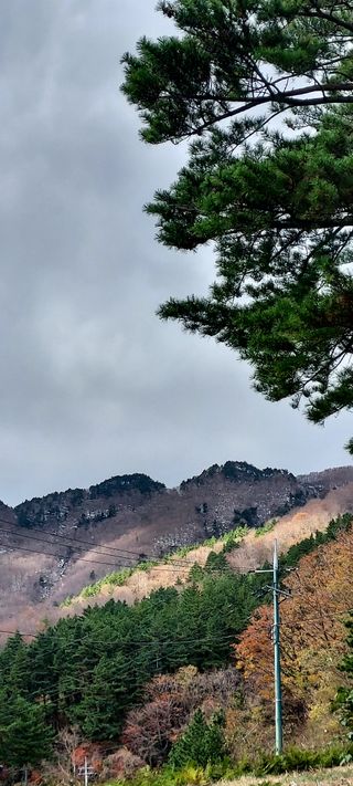 안재성님의 자유주제 · 사진전 작성글 사진