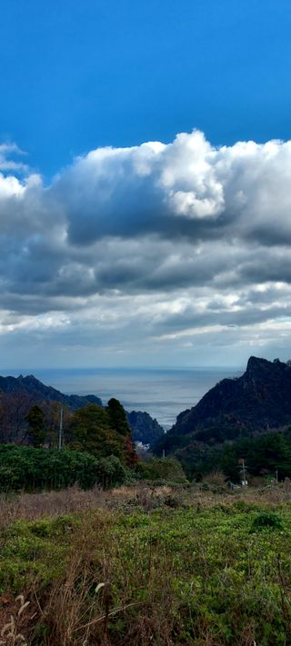 안재성님의 자유주제 · 사진전 작성글 사진