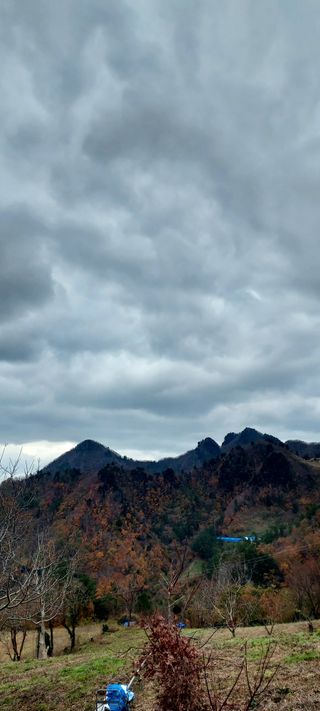 안재성님의 자유주제 · 사진전 작성글 사진