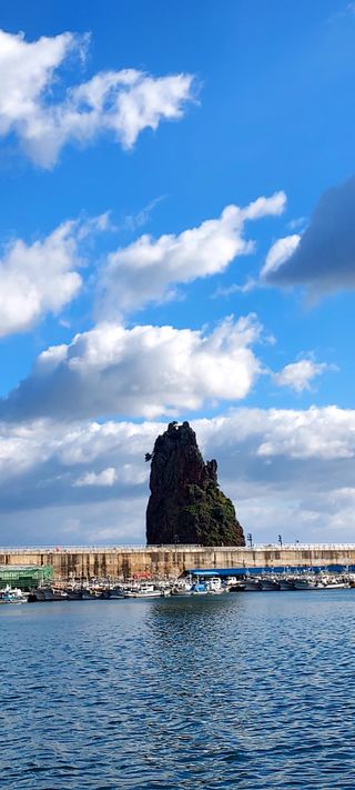 안재성님의 자유주제 · 사진전 작성글 사진